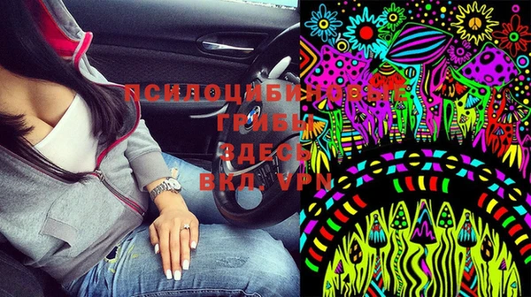 прущие крисы Алзамай