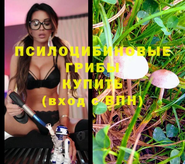 кокаин перу Алексин