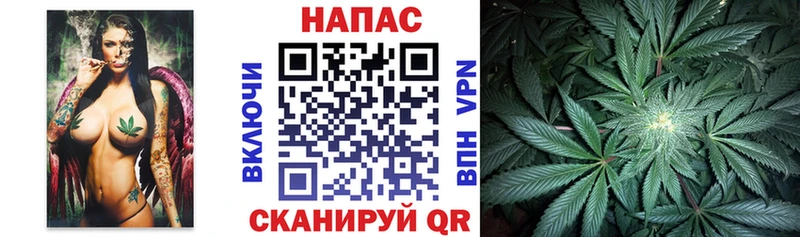 купить   Сызрань  Бошки Шишки MAZAR 